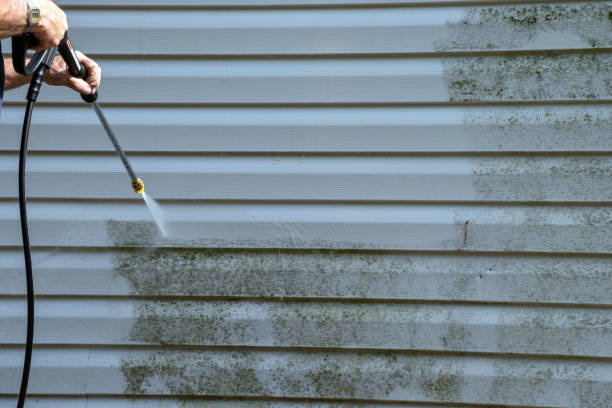 Best Residential Vinyl Siding Installation  in Pearisburg, VA