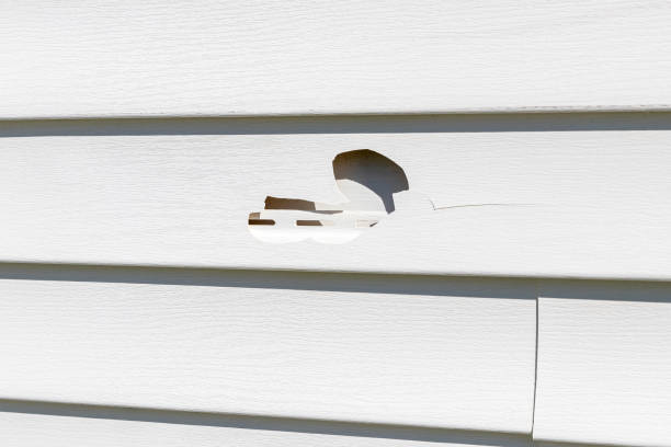 Best James Hardie Siding  in Pearisburg, VA