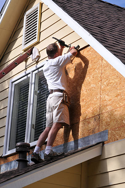 Best Historical Building Siding Restoration  in Pearisburg, VA